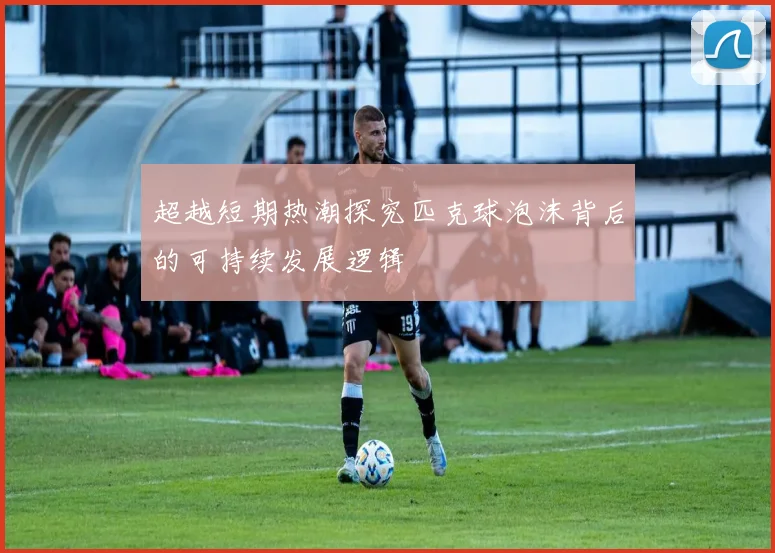 超越短期热潮探究匹克球泡沫背后的可持续发展逻辑