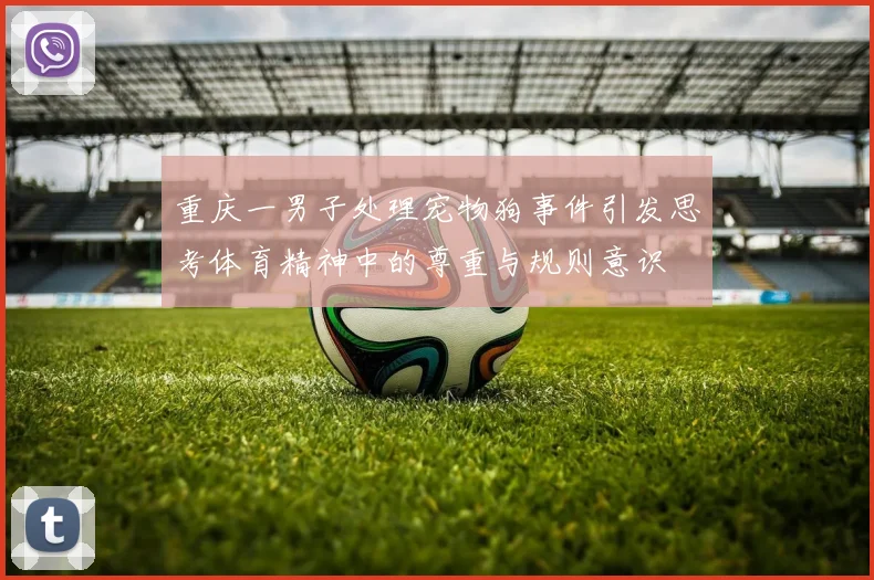 重庆一男子处理宠物狗事件引发思考体育精神中的尊重与规则意识